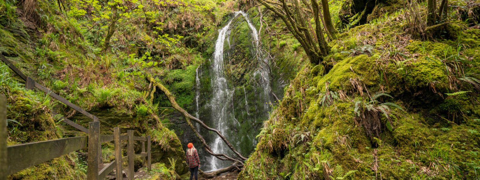 Dhoon Glen Waterfall